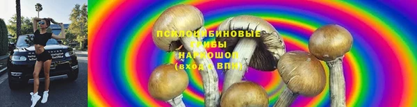 гашиш Бородино
