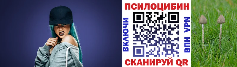 наркота  Можга  Псилоцибиновые грибы ЛСД 